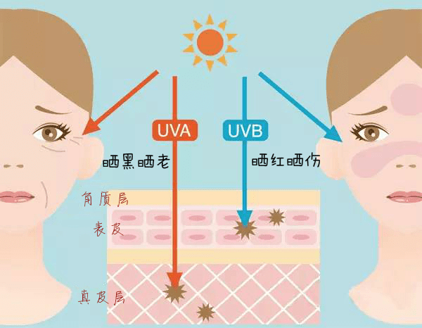 主动谁给你直面阳光的勇气？兰瑟小白盾主动请缨阻挡“黑势力”