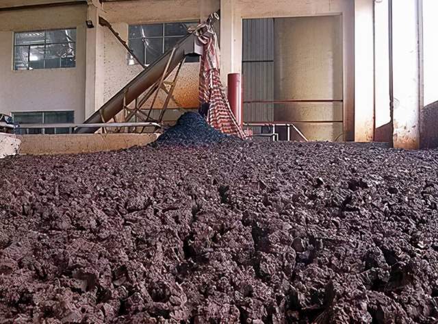 洞见未来污泥处理处置四大新技术发展介绍