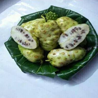 一,诺丽果的功效1,排脂去油减肥诺丽果可以清理人体肠道垃圾,在排油去