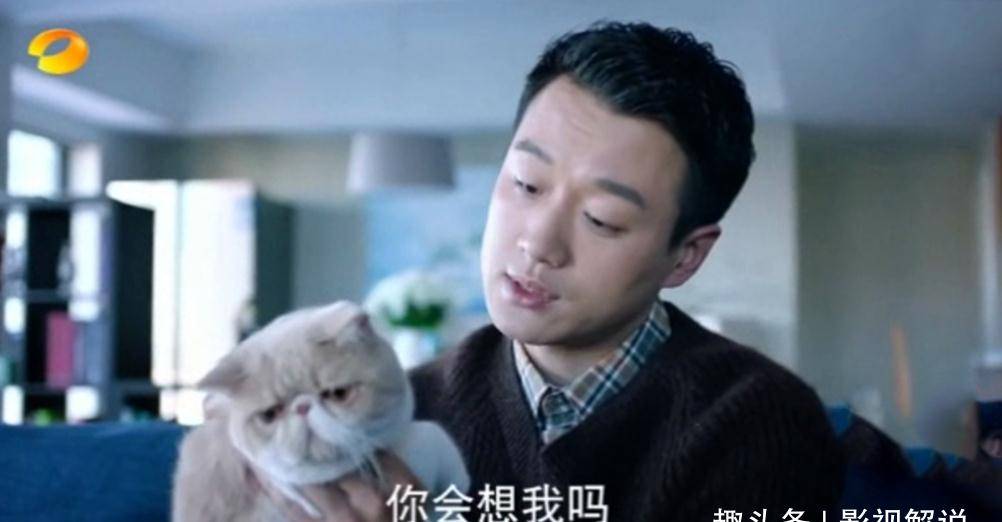 生活|《如果可以这样爱》所有人一个比一个惨，最幸福的是它