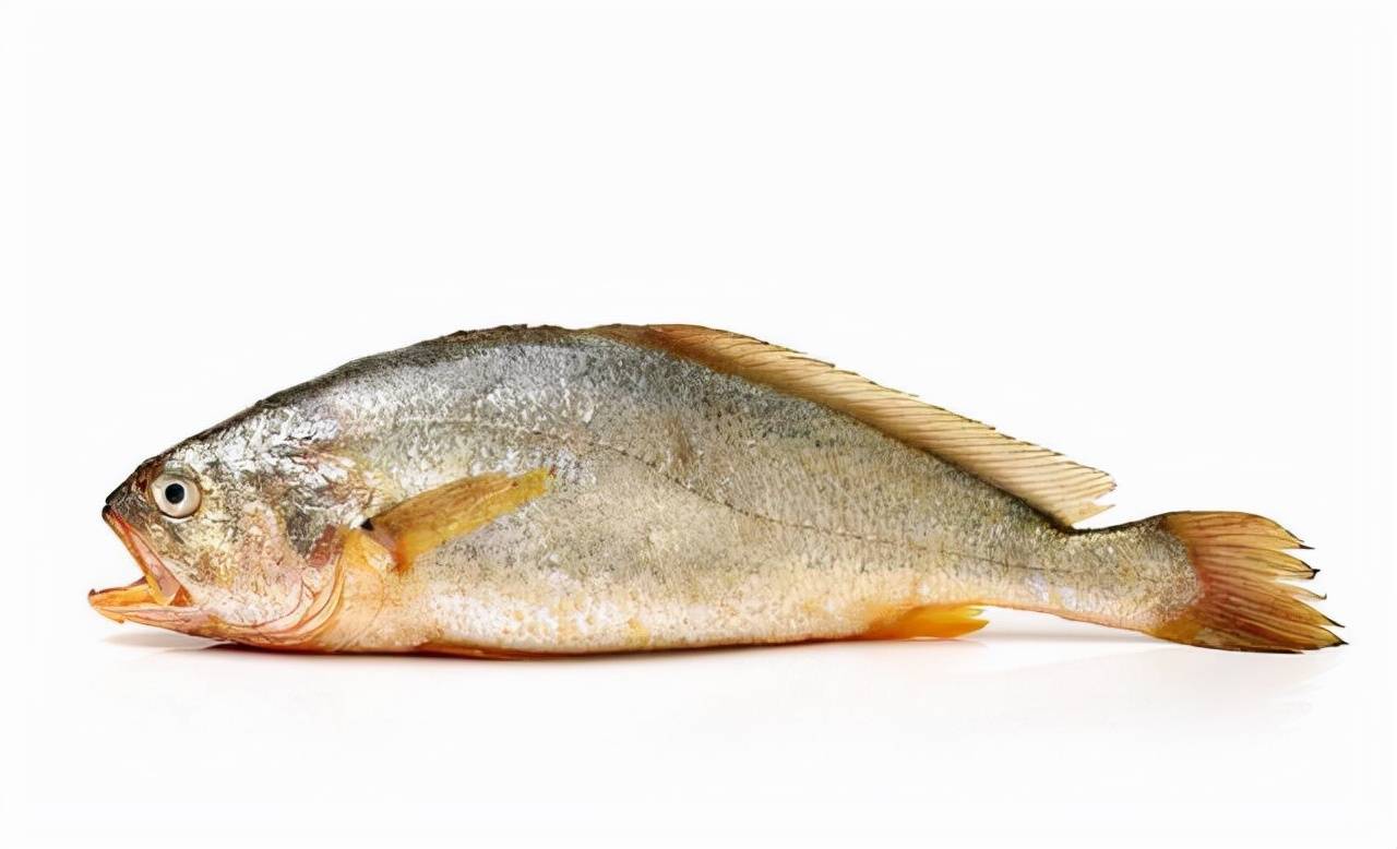 最常见的50种食用鱼 别再说你不认识 好好看看 你认识几种 肉质 大黄鱼 被称为