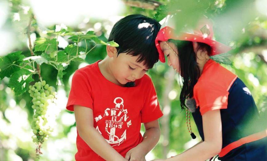 夏天|《爸哪》里的青梅竹马：天天森碟都成大长腿，诺一夏天却变样了