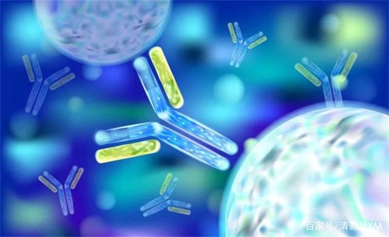 ENlivEN干细胞美容合法吗？干细胞美容可以管多久？扒一扒还有多少坑
