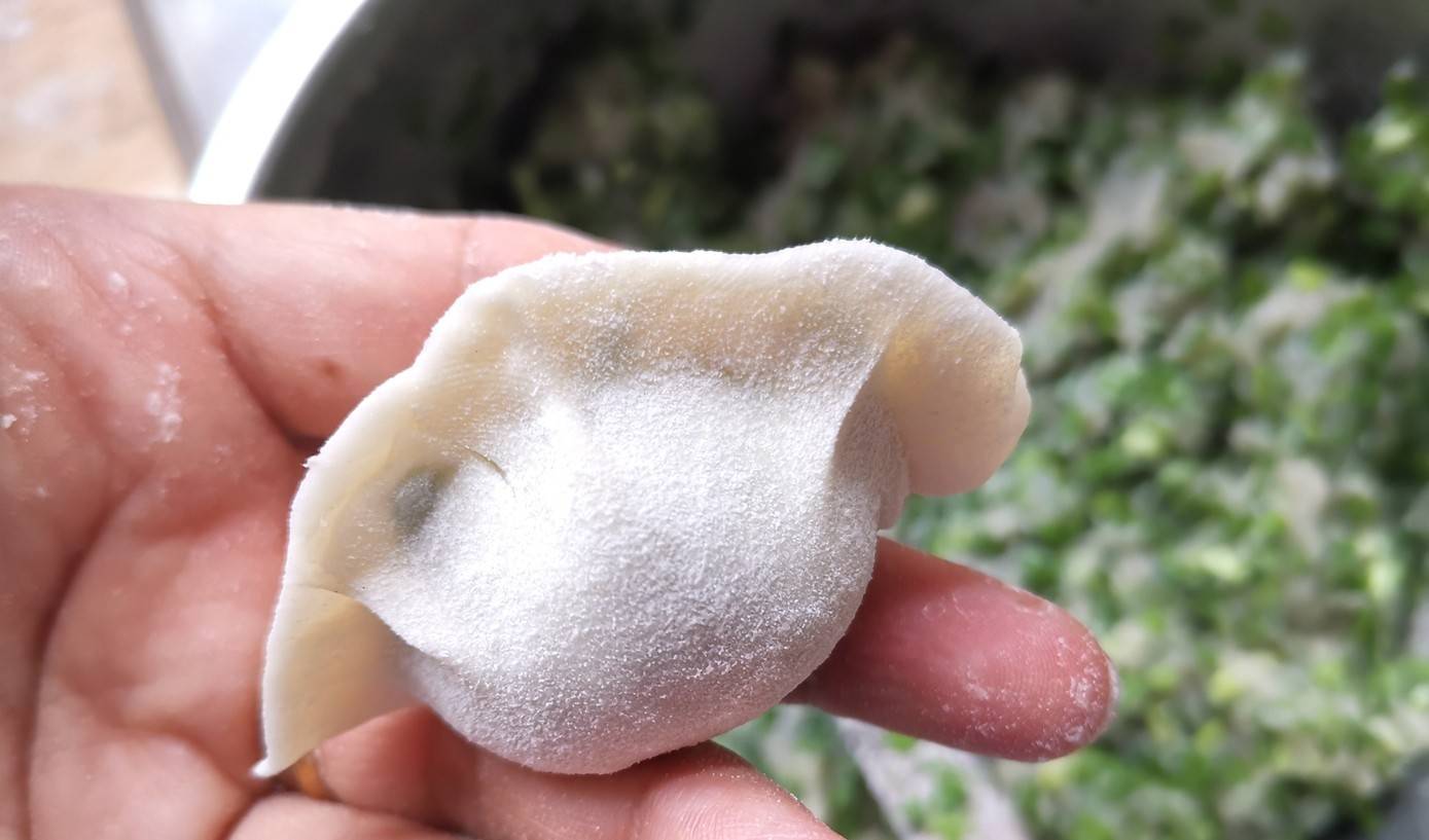 鲅鱼韭菜饺子,味道鲜香,老少皆宜,美味可口,赶快来看看吧_面团_馅料