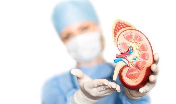 进行|肾功能衰竭是怎么回事?通过透析可以治疗肾衰竭吗?