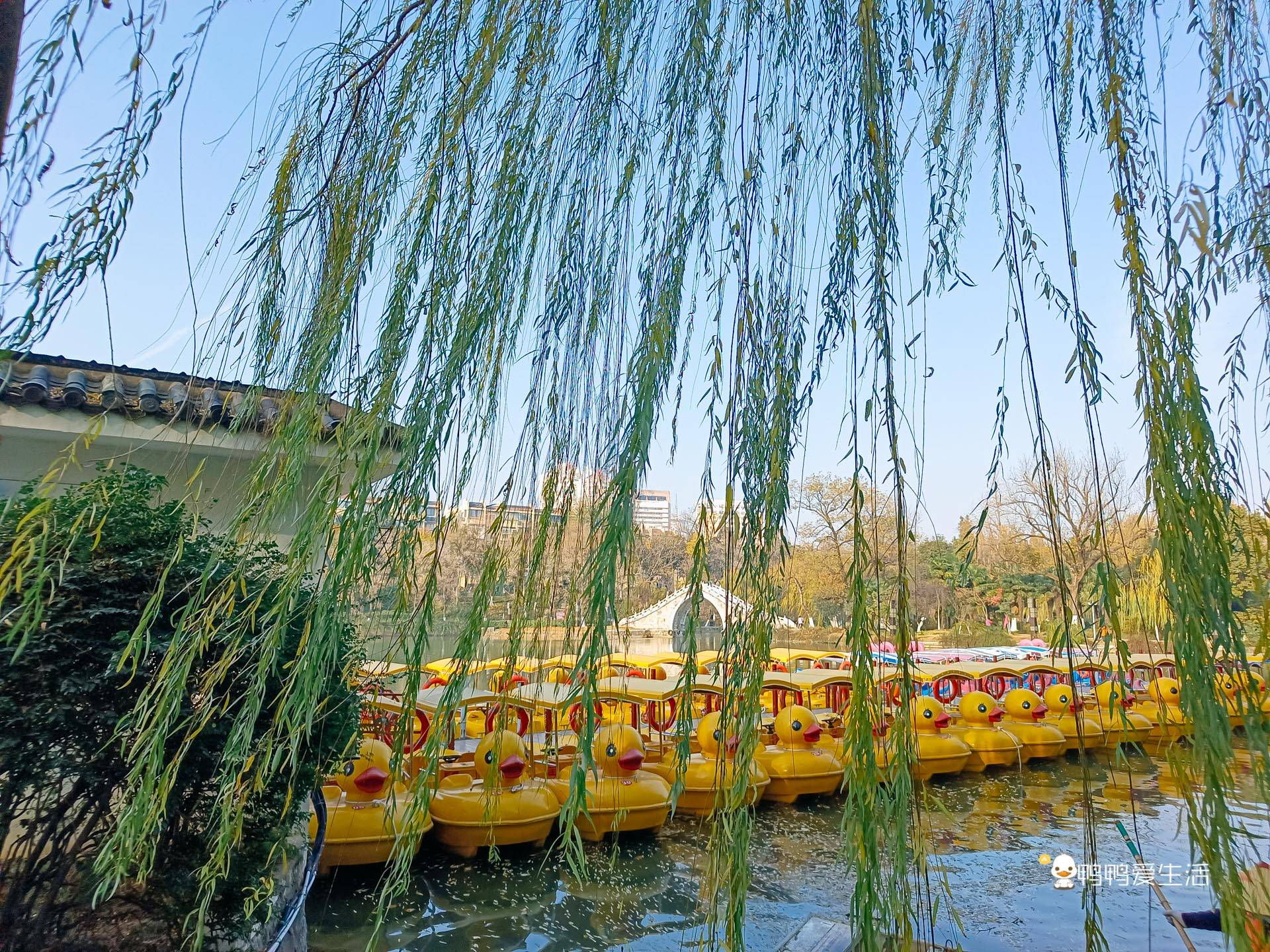 廉泉井|合肥三大古迹之包公祠，清幽雅致，游客却发现包拯塑像帽翅不对称