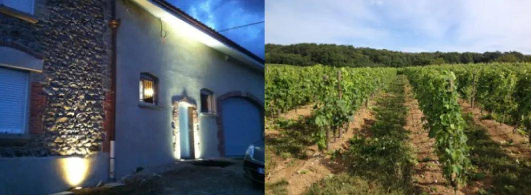 Joe|湃夏酒庄孔得里约盖依干白葡萄酒2017！