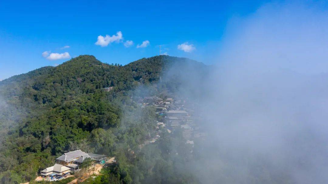 茶园|打卡2022世界最佳旅游目的地中国唯一上榜的避世仙境，开启茶山朝圣之旅