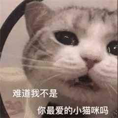 什么|猫咪吃冻干有什么好处？猫咪零食冻干选购指南