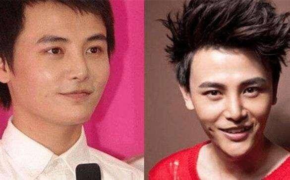 下巴明星的N种“假下巴”，尖到戳死人，翘成老巫婆，一个比一个怪异