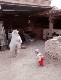 新生|搞笑GIF趣图:“没有人喜欢我,整个世界的人都恨我”