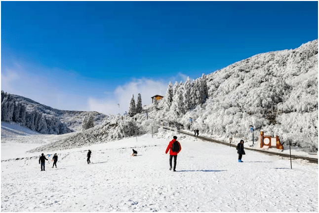 雪场|今年来金佛山玩雪，三大雪场承包你的快乐