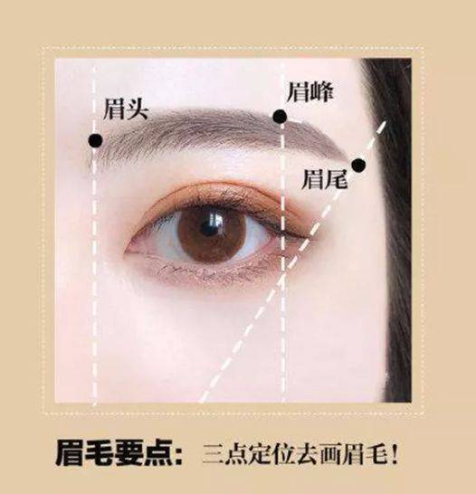 画眉新手画眉必看:想要不踩坑,这四点要注意!