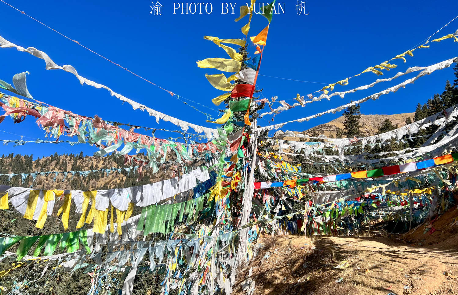 波罗|昌都自驾游第六天：走进经幡的海洋，感受木刻非遗，遇见昌都丁真