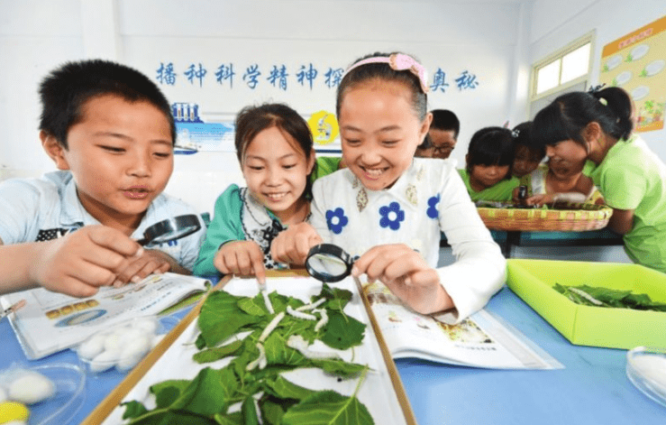 6年级考95分不是真学霸 到了初中不及格 学数学初一才是关键 家长 小学 辅导