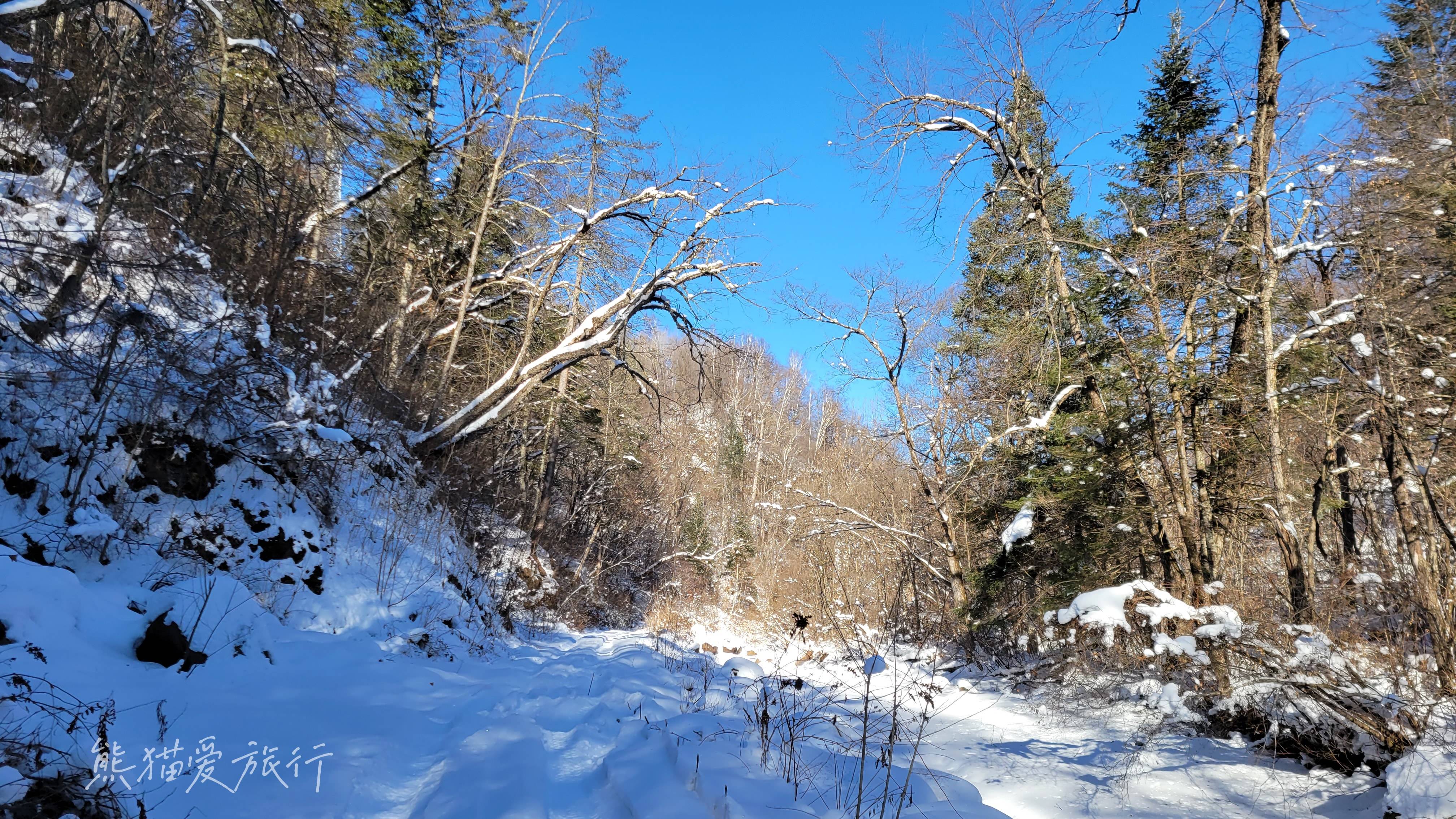 瑞士|如果你不想辜负这个冬天，你一定要来长白山鲁能胜地！