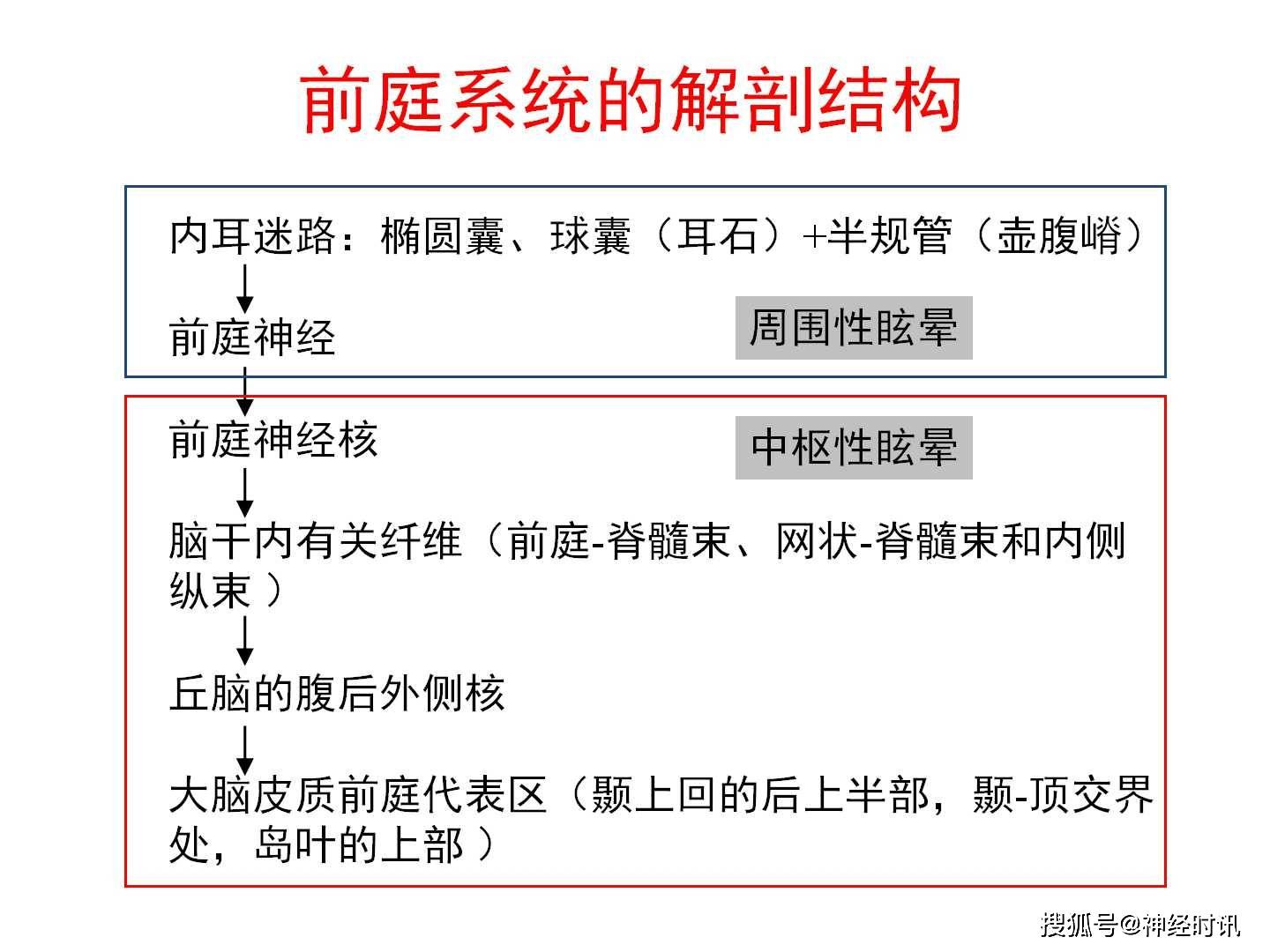 頭暈的診斷流程建議_眩暈_循環_前庭