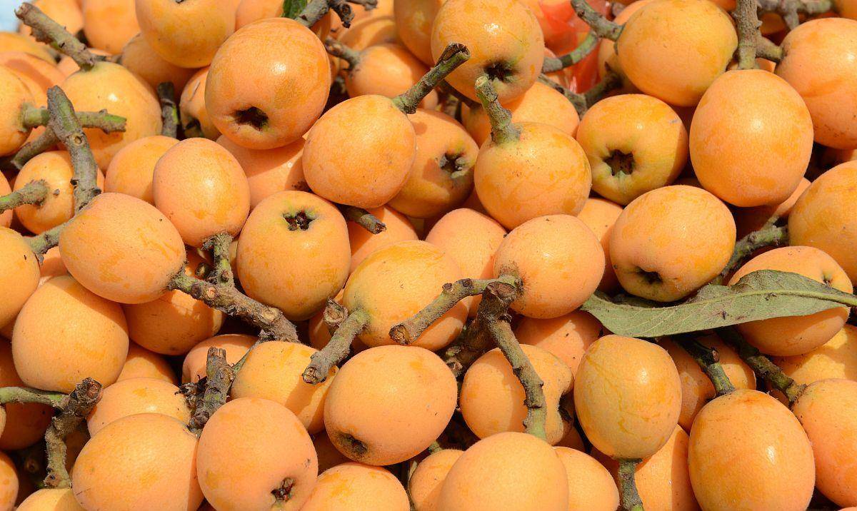 症状|反复咳嗽老不好？或是这6疾病“突袭”！科学调养，远离咳嗽困扰