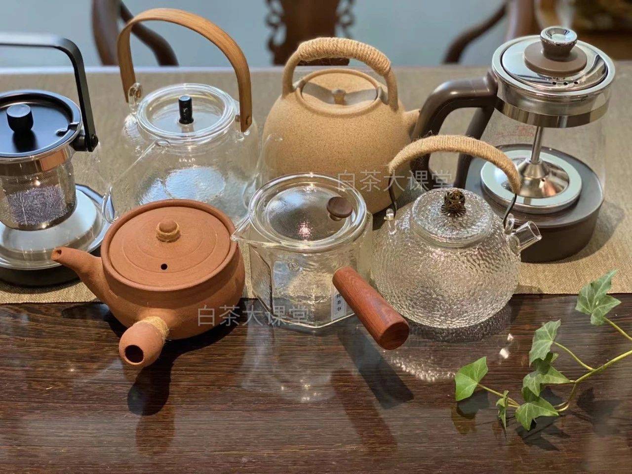 沸水|煮茶比泡茶好？简单一篇文章，带你体验煮白茶的乐趣