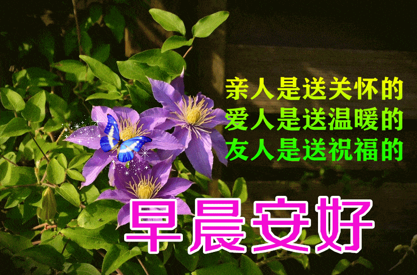 7张非常漂亮冬日清晨早上好问候图片 创意好看的早安问候祝福语图片带