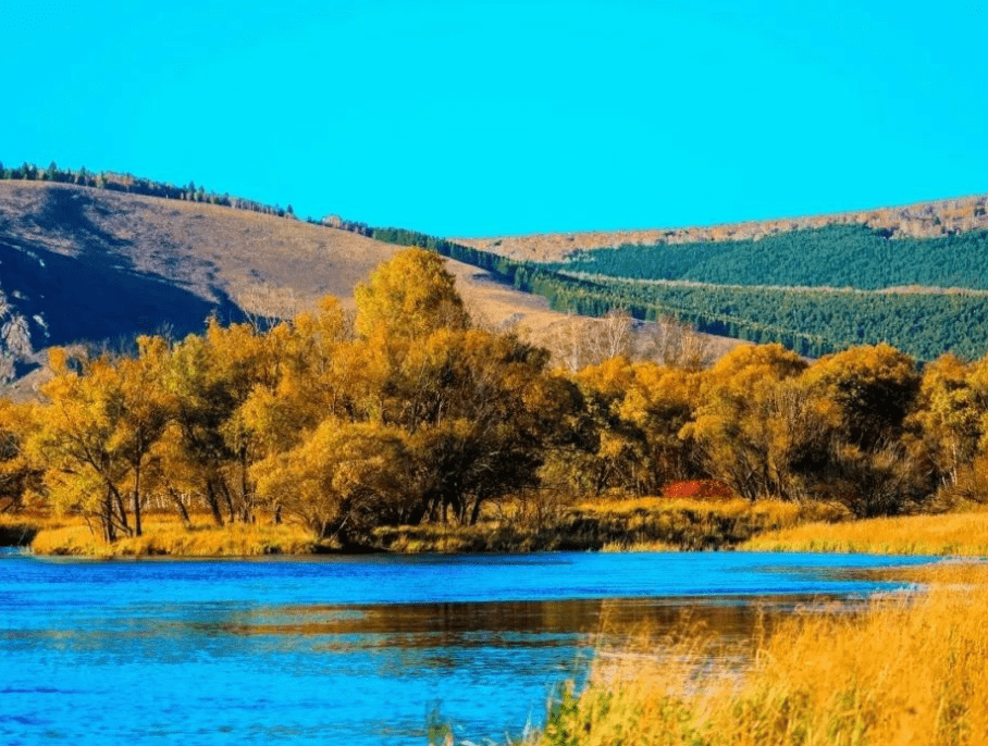 原创 新疆有座旅游都市,显着是塞上江南,却总被各人误认为是荒野沙漠