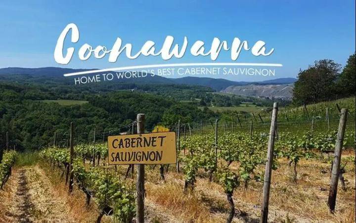 果香|【中喜酒业】国会系列红酒：充满活力和个性的澳洲葡萄酒，独一无二