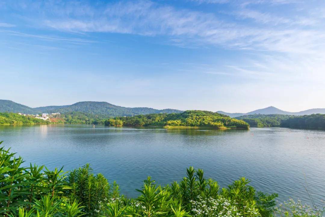 度假|推进文旅融合高质量发展，南京珍珠泉绘就休闲度假新图景