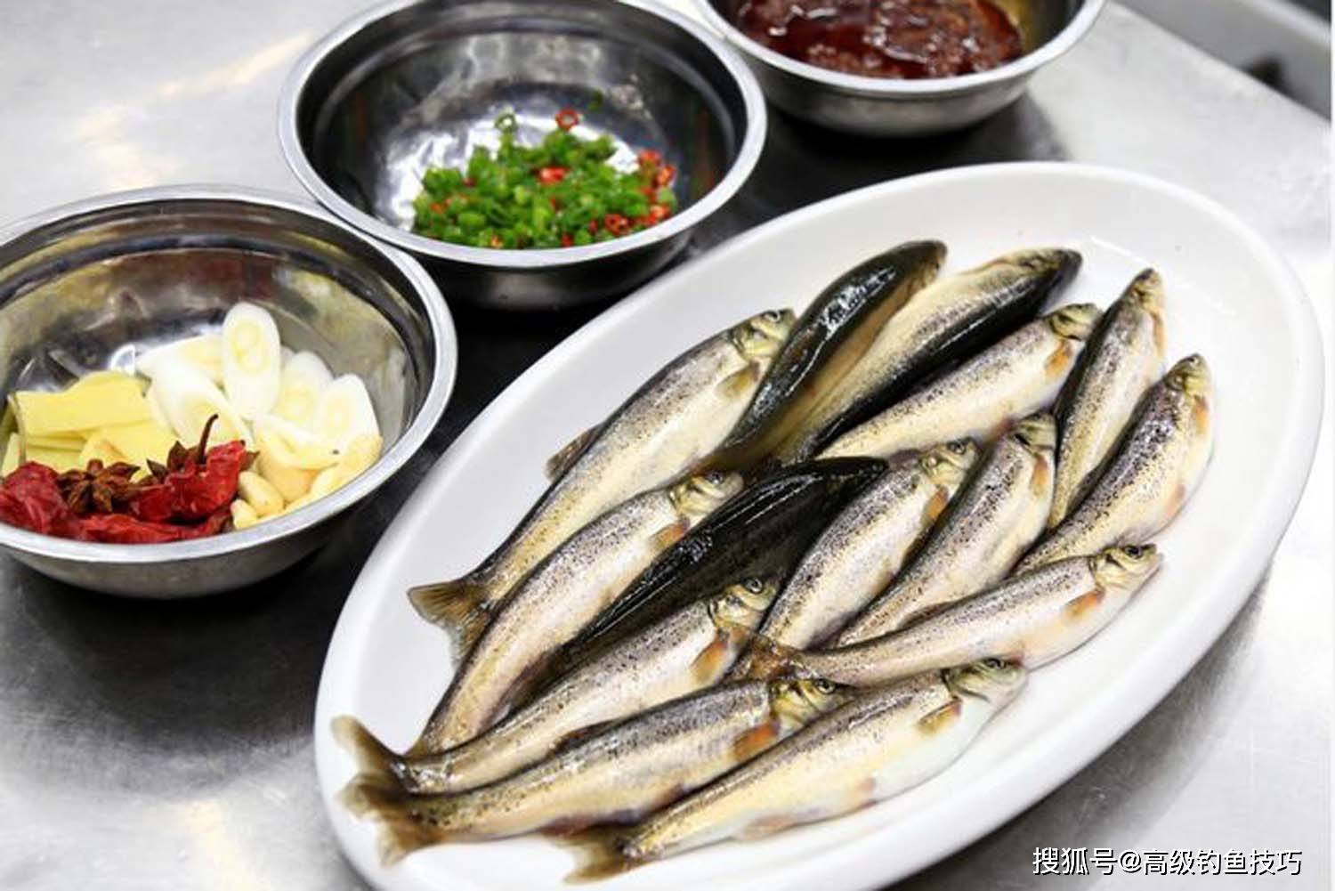 300克的基础饵,150克的腥味辅助饵,50克的活饵,添加馥郁香多巴盐鱼类