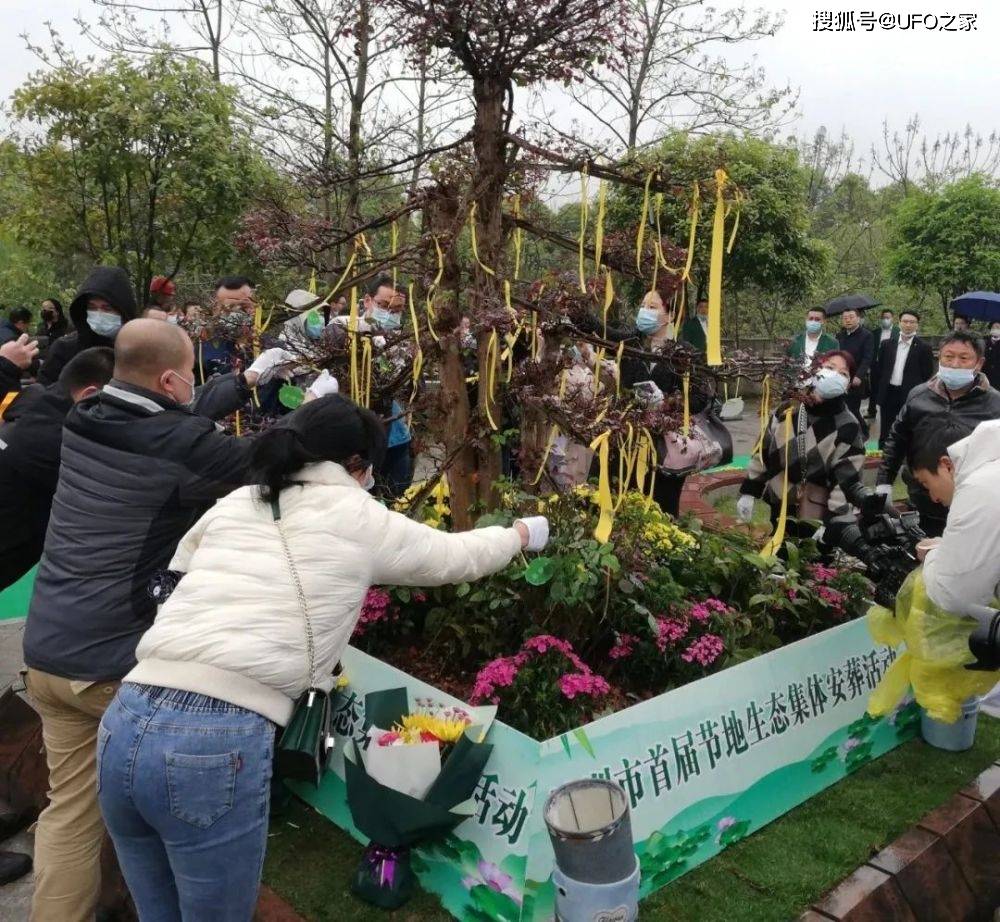 土葬火葬后，新型“树葬”来了！把骨灰放入树洞，你能接受吗？_树木_方式_遗体