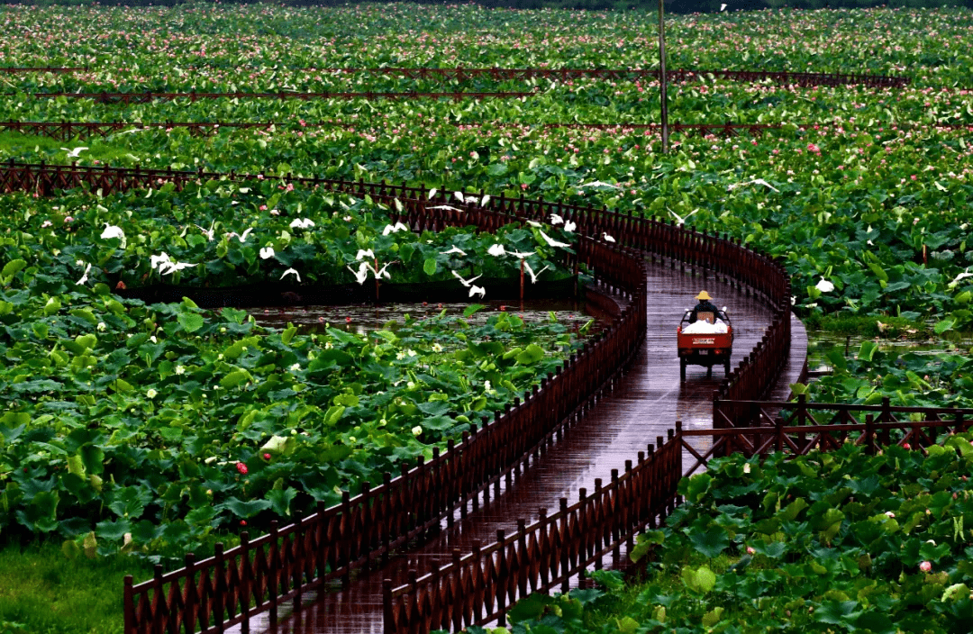 景区|喜讯！腾冲市新增（含提升）11家A级景区