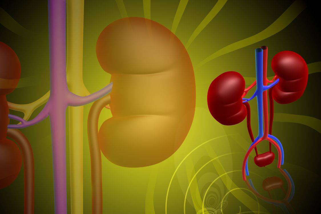 人群|长期熬夜的人容易患肾病？这2类人群，或许更受肾病的偏爱