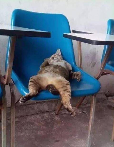 朋友_东西_老手