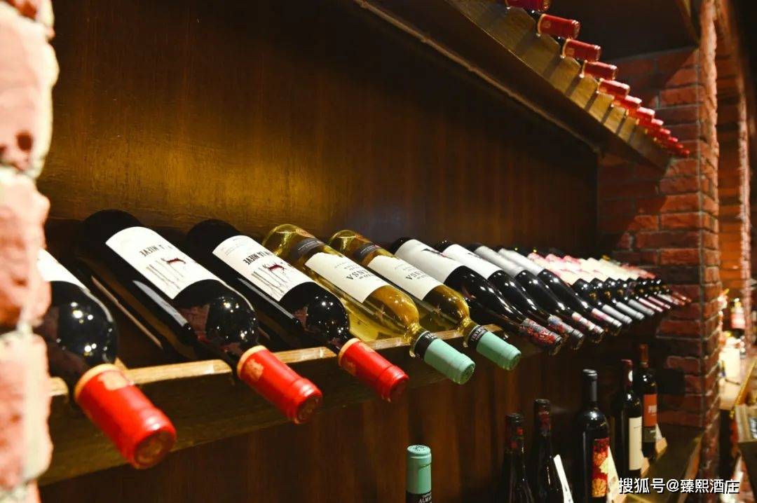 进行|臻熙酒庄参展“首届2021中国（中部）国际消费品博览会”圆满结束