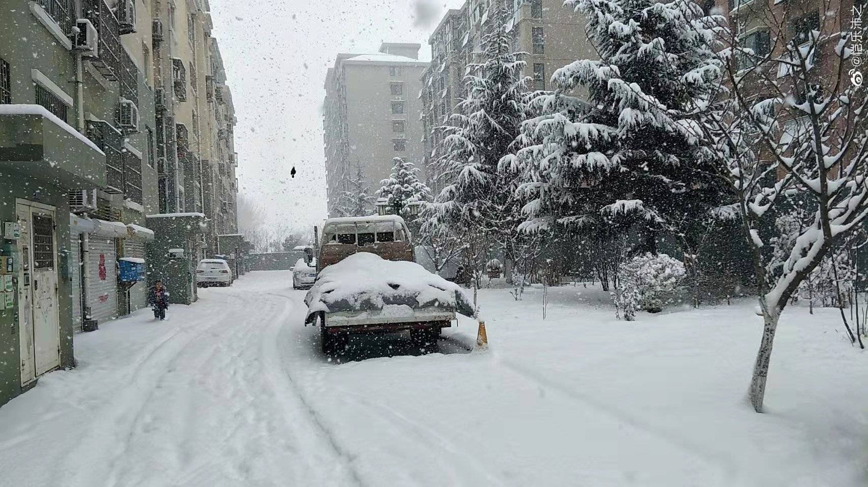 黄岛|撒盐空中差可拟｜2021青岛初雪，快来欣赏各区雪景～