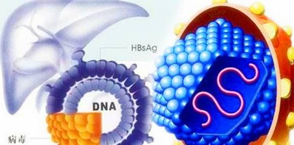 肝脏|乙肝患者,自身的寿命真的会缩短吗?你的理解真的对?看专家理解