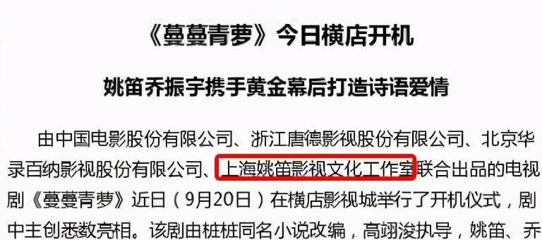 角色|五年了，姚笛从叶青手上抢来的《蔓蔓青萝》还压着，可惜了乔振宇