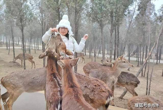 伏羲山|踏歌而行，遇见雪中的伏羲山冰雪与森林小鹿