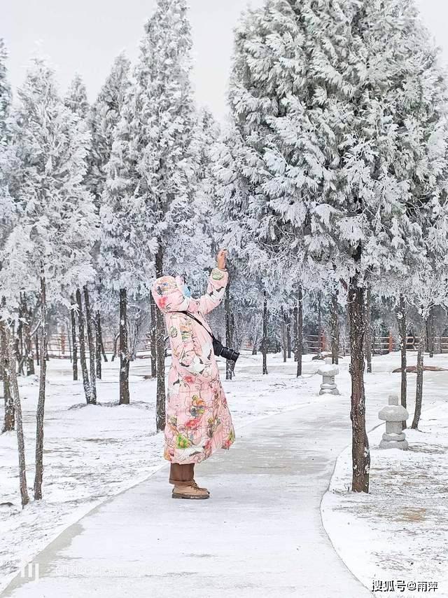 伏羲山|踏歌而行，遇见雪中的伏羲山冰雪与森林小鹿