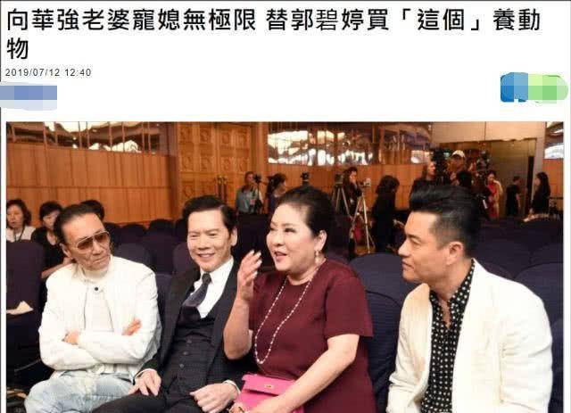 女孩子|向太超级宠儿媳，兑现承诺，真的给郭碧婷买了一块地给她养动物