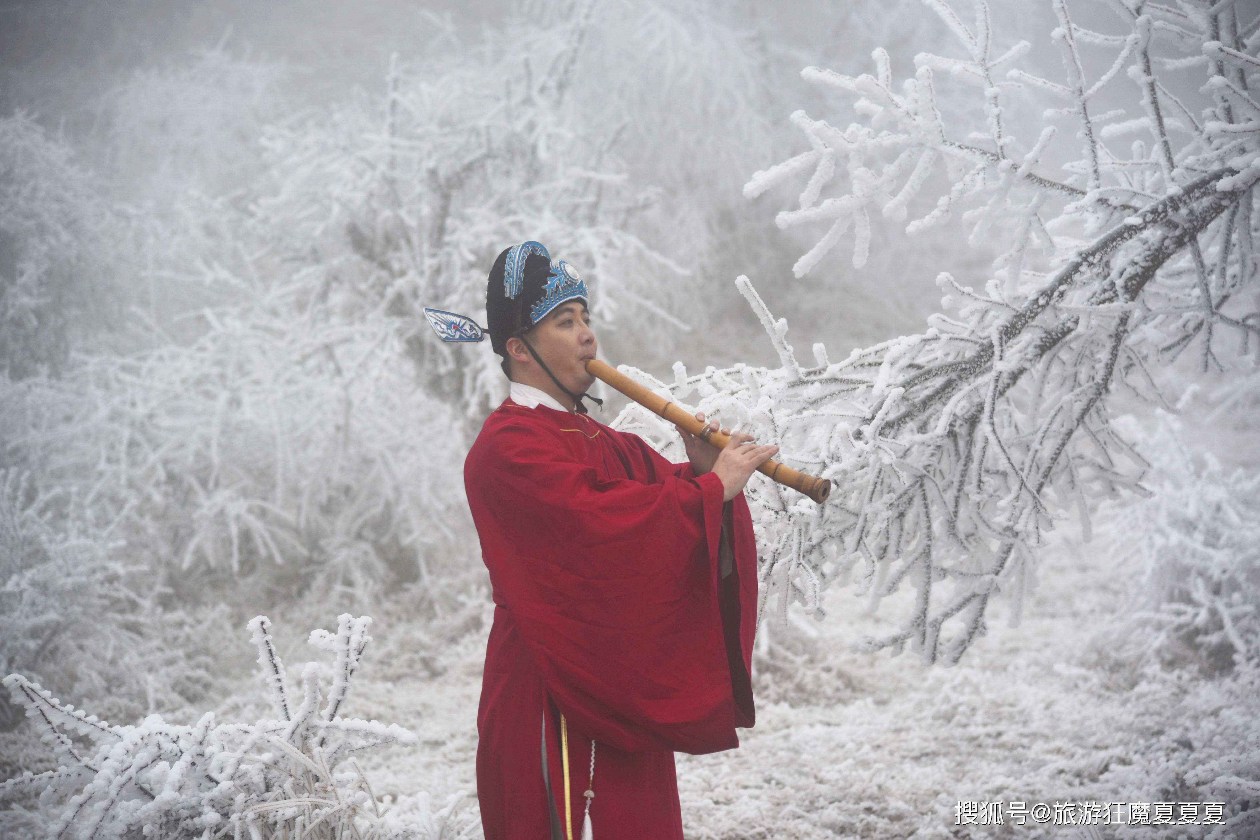 王岗坪|四川赏雪好去处，山上小木屋宛如北欧，还能远眺蜀山之王贡嘎雪山