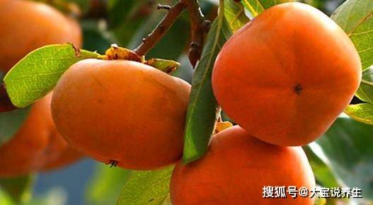 胃酸多吃什么水果好一点 9b5cc7e2ae5b471bafe30a98ef47d647.jpeg
