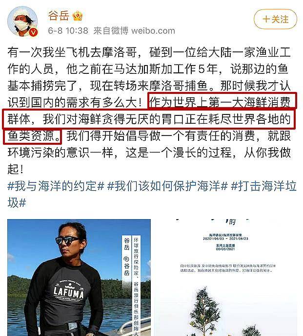 什么|又是你，曲婉婷！网友已忍无可忍