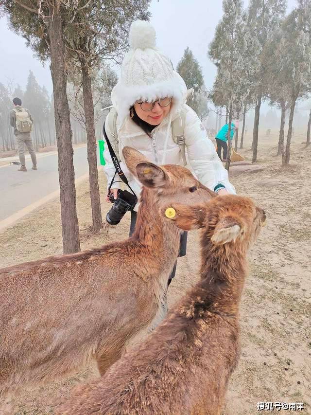 伏羲山|踏歌而行，遇见雪中的伏羲山冰雪与森林小鹿