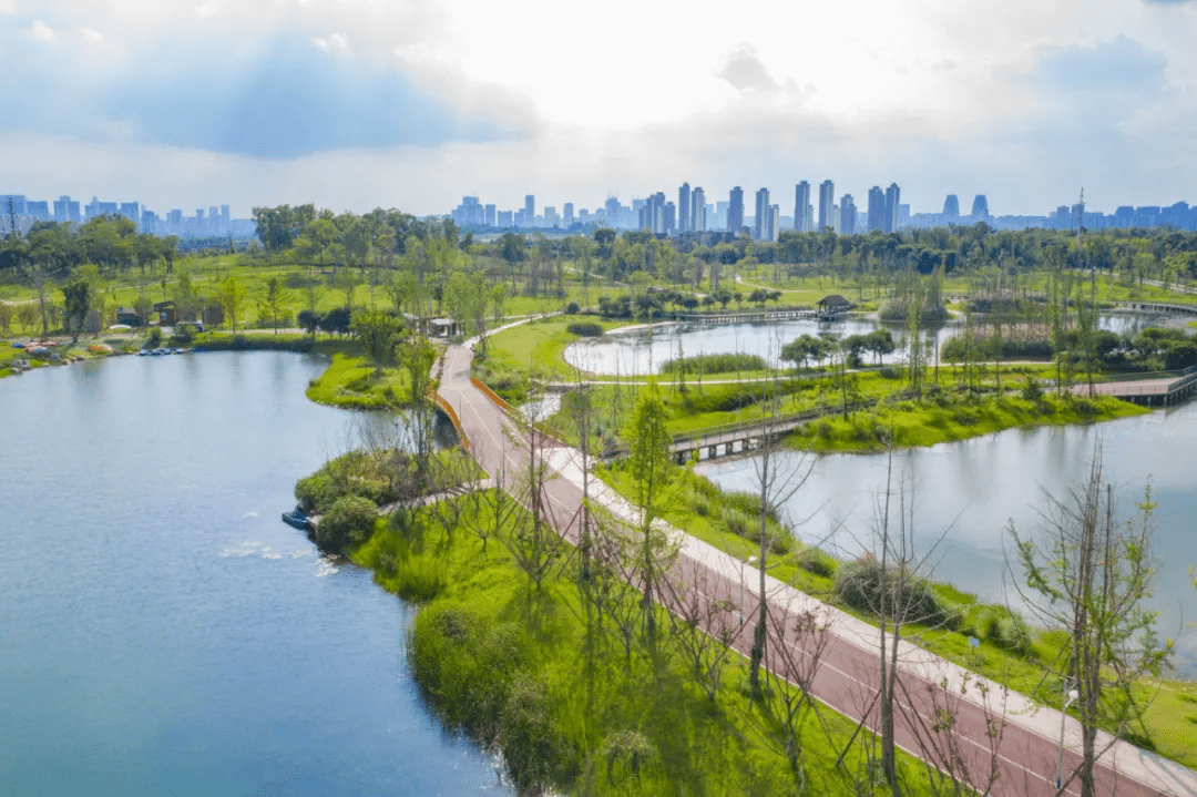 青龍湖紅杉樹的壯麗,江家藝苑成群結隊的小朋友,中和溼地公園的網紅小