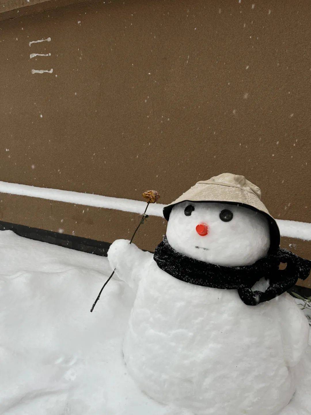 雪人雪人大比拼，让我发现这些人确实不走寻常路