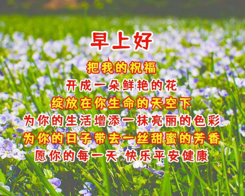 早上好圖片帶字祝福語 真情友情早上好問候祝福短句_花美麗_修來_好運