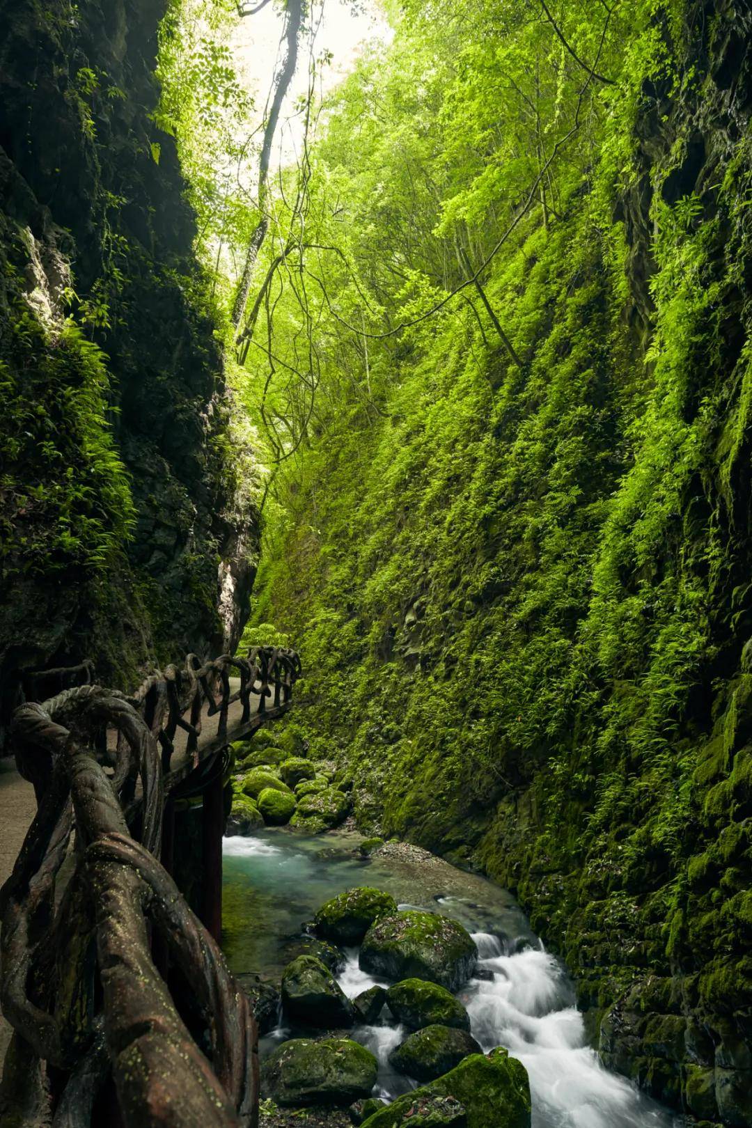 巴山大峡谷桃溪谷景区图片