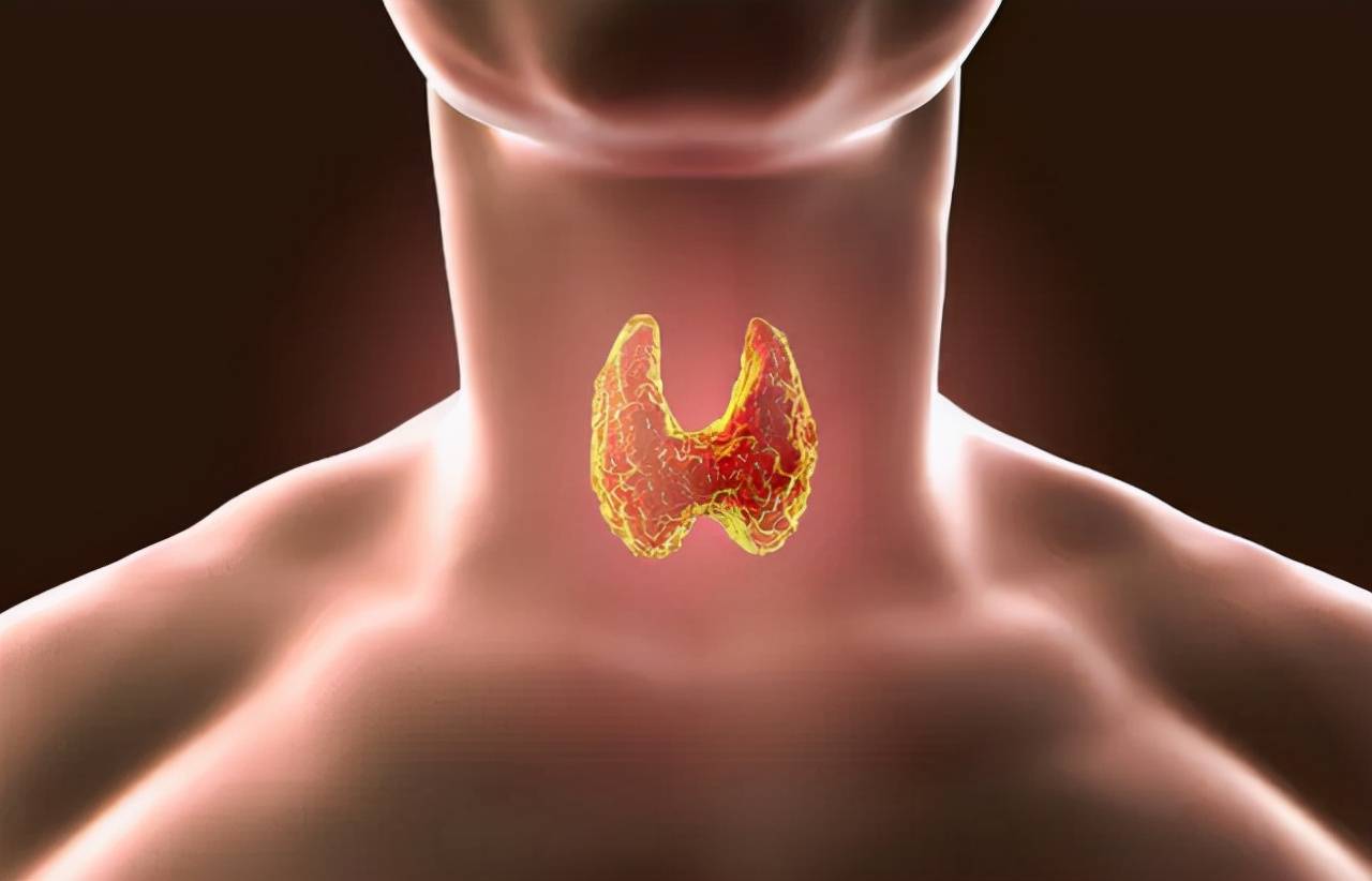 少碰|红薯是结节的“发物”？医生：不想甲状腺变“蜂窝”，2素请少碰