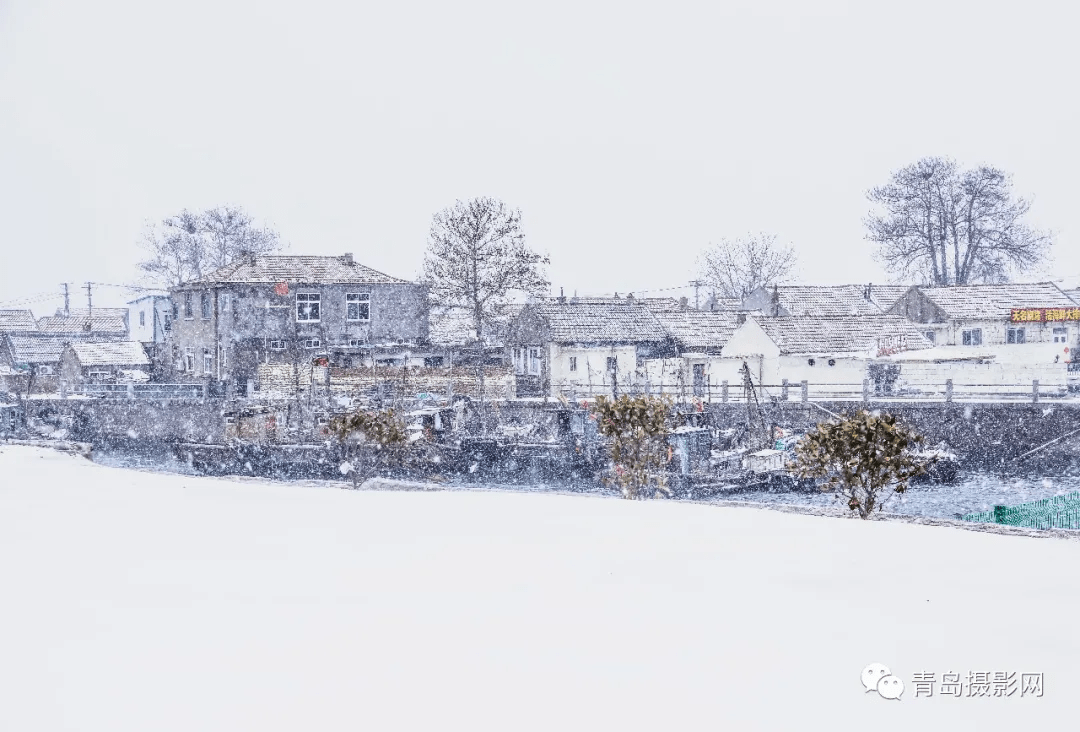 柳絮|一月一题 | 雪，让这个世界变得温柔而浪漫