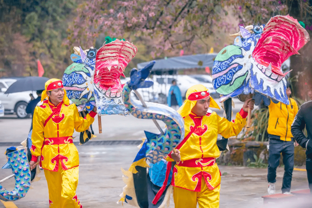 瑞邦|腾冲周边游丨冬日游樱花谷